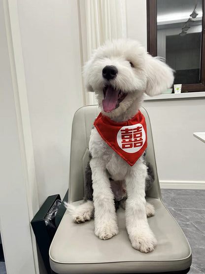 Chinese Wedding Double Happiness Pet Bandana